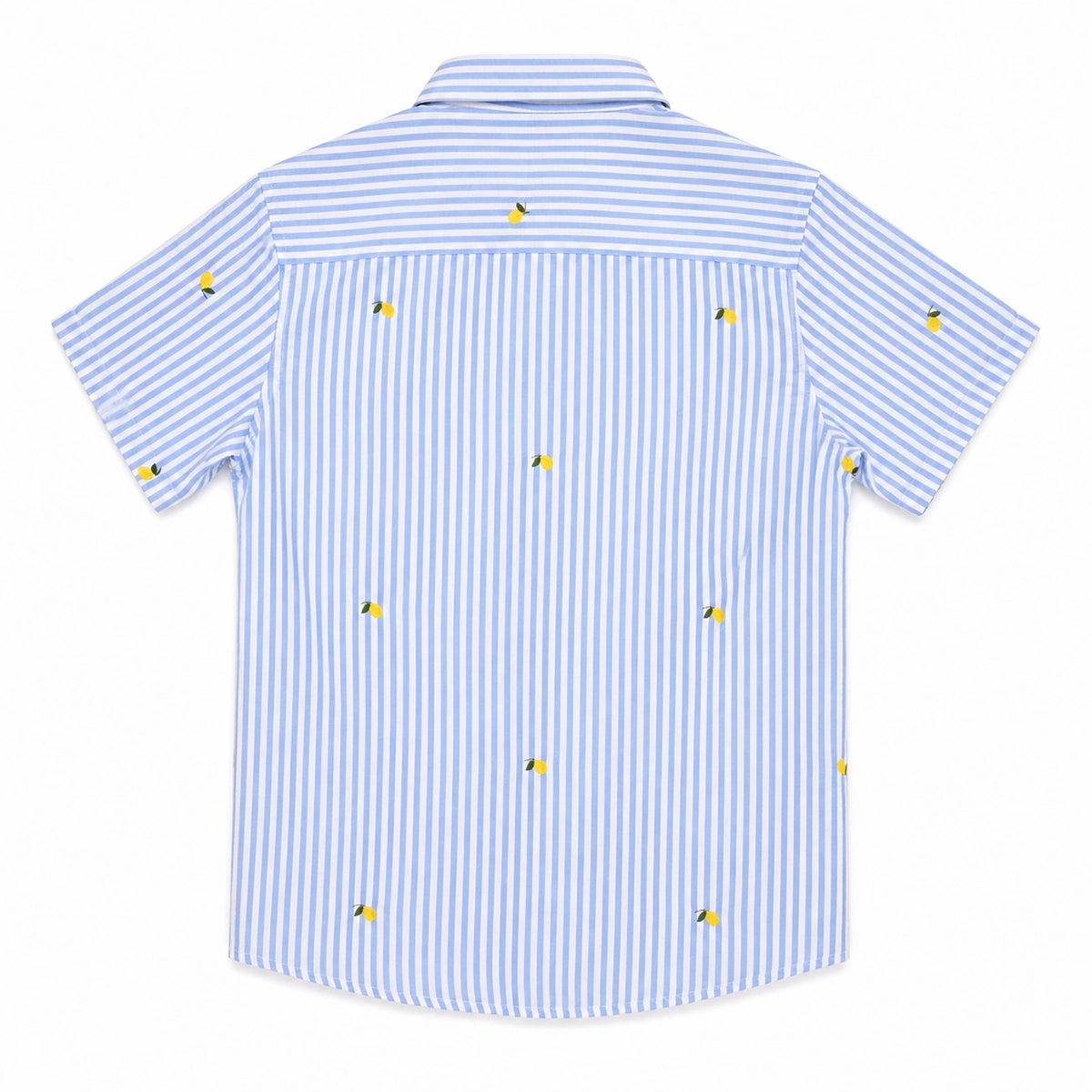 Print Shirt