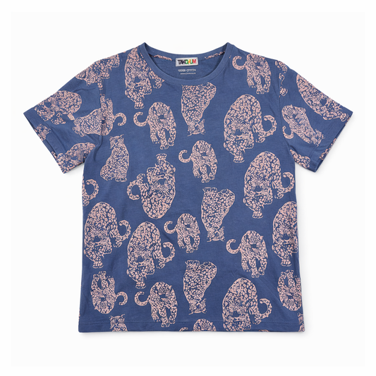 Boy T-shirt Y12-13
