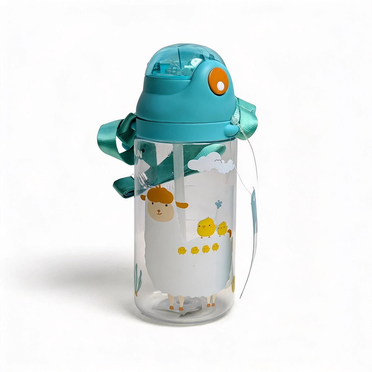 Water Bottle