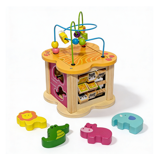 6 in 1 Activity Cube