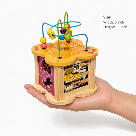 6 in 1 Activity Cube