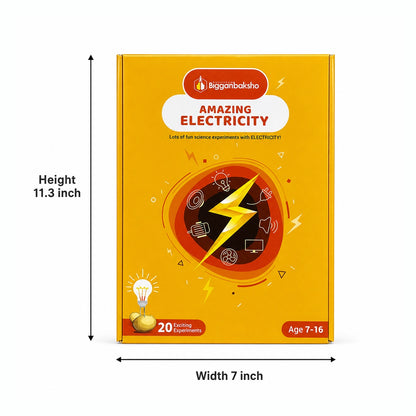 Amazing Electricity (Science Box)