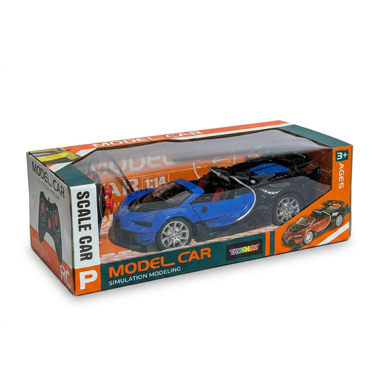 Model Car Simulation 1:14